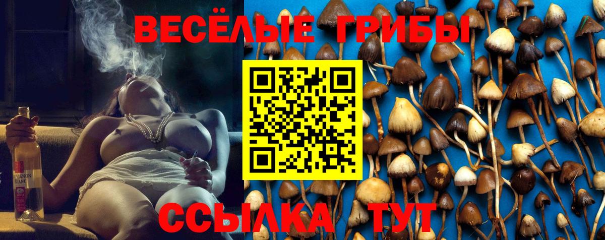 Псилоцибиновые грибы прущие грибы Люберцы